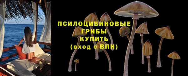 дурь Сафоново