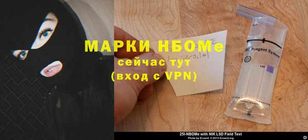 ПСИЛОЦИБИНОВЫЕ ГРИБЫ Богданович