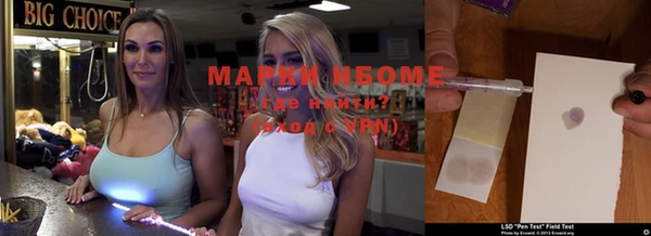 ПСИЛОЦИБИНОВЫЕ ГРИБЫ Богданович