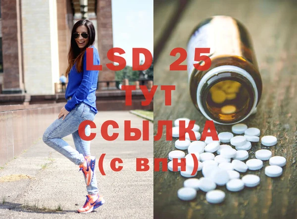 ПСИЛОЦИБИНОВЫЕ ГРИБЫ Богданович