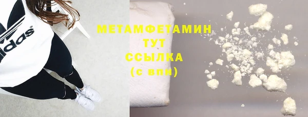 ПСИЛОЦИБИНОВЫЕ ГРИБЫ Богданович