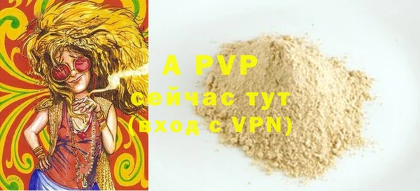 ПСИЛОЦИБИНОВЫЕ ГРИБЫ Богданович