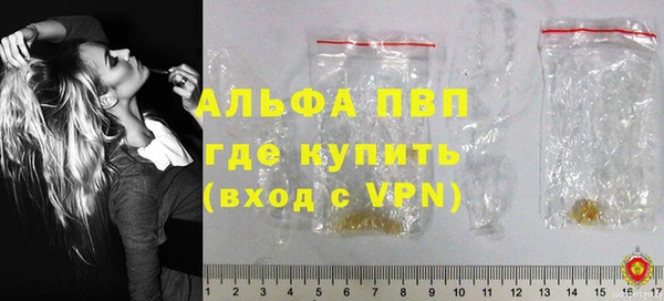 ПСИЛОЦИБИНОВЫЕ ГРИБЫ Богданович