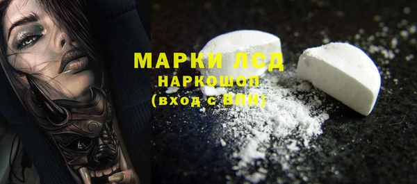 ПСИЛОЦИБИНОВЫЕ ГРИБЫ Богданович