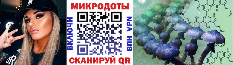 Галлюциногенные грибы мицелий  наркошоп  кракен маркетплейс  Дедовск 